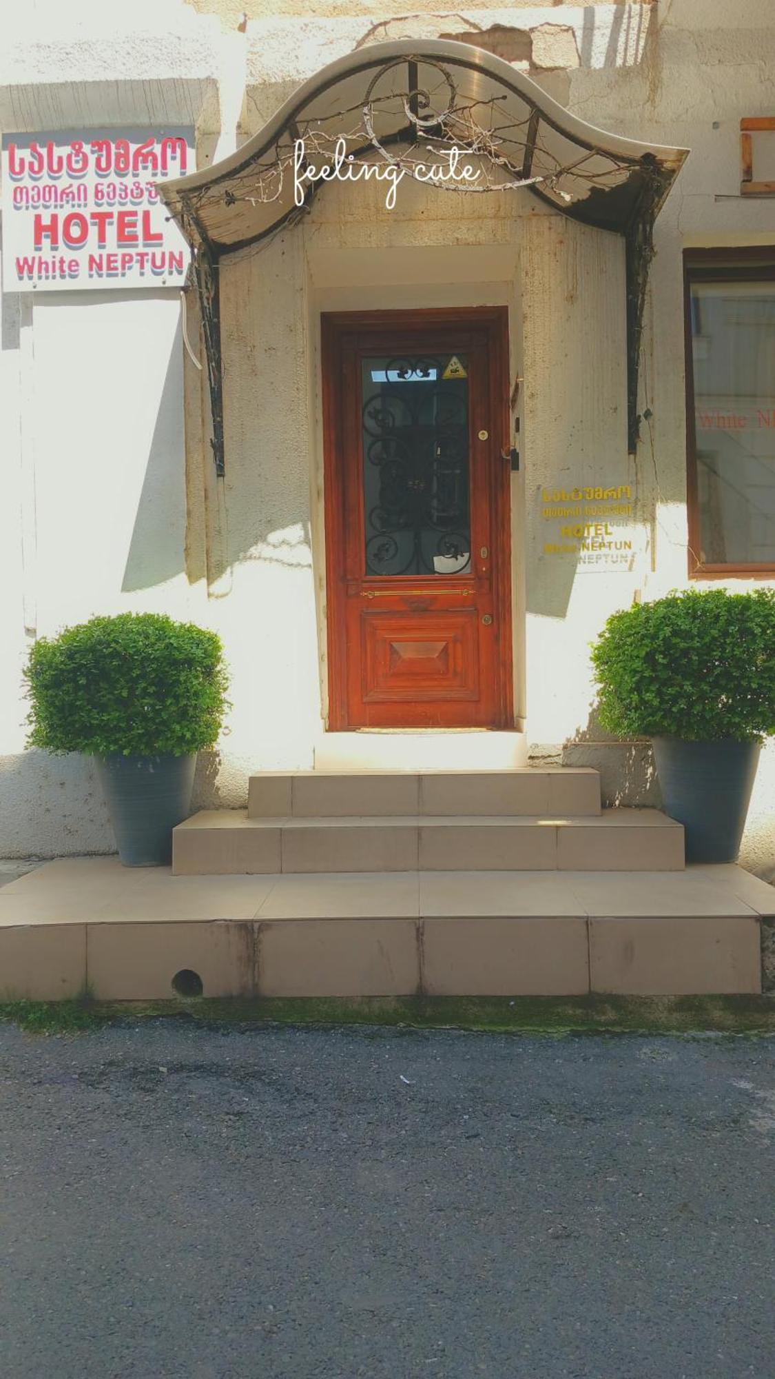 Hotel White Neptun Georgia ティビリシ エクステリア 写真
